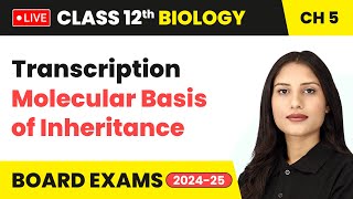 Transcription  Molecular Basis of Inheritance  Class 12 Biology Chapter 5  live [upl. by Reinaldos453]