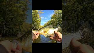 Fall Crappie fishing in late October [upl. by Burney355]