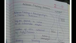 Anterior Pituitary Hormones  Adenohypophysis  Unit 04  Part 02 [upl. by Assilana826]