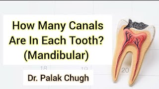 Mandibular Teeth Canals  Access Opening  Root Anatomy  Detailed Pictures  Basic Easy Endodontics [upl. by Latonia]