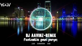 FUNTASATIC PANI PARYOREMIXDJ AAVINZ [upl. by Anelrats5]