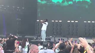 DAMSO  Medley ZWAAR amp BXL ZOO Live aux Ardentes Juillet 2022 [upl. by Letsyrk885]