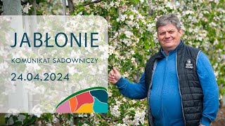 Komunikat sadowniczy Jabłonie  24042024  Zbigniew Marek [upl. by Leftwich120]