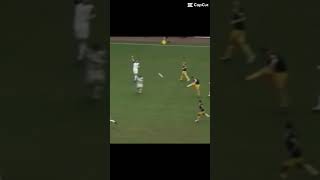 Rickie Lambert goal VS MK Dons [upl. by Tranquada]