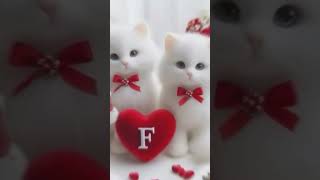 TOHRE ME BASE RAJA HAMRO PARANWA HO ❤💞🥀Cute name alphabet letter😘🥰 lovelovesongstatus viral song [upl. by Tenner]