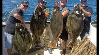 Mirage Sportfishing  California Halibut Fishing 55lb and 36lb 08172011 Channel Islands [upl. by Eelek]