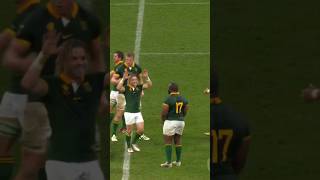 RASSIE and SPRINGBOKS Secret to Turning It Around FAST [upl. by Sseb]