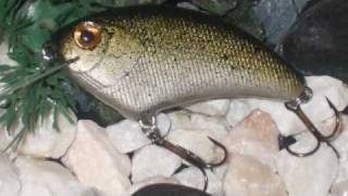 Build Your Own Baits Bass Fishing Lures for Spring 2009 [upl. by Tellford]