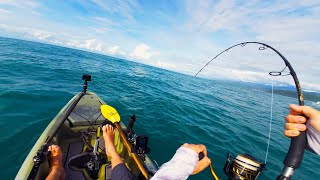 Offshore Kayak Fishing for HUGE Fish with Lures Multi Species NonStop Action [upl. by Tichon]