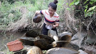 😲Girls Riverbed Exploration Takes Thrilling Turn A Giant Mussel with a Worthy Pearl Unearthed [upl. by Donnie]