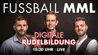 Digitale Rudelbildung Teil 4 mit Fussball MML [upl. by Willtrude]