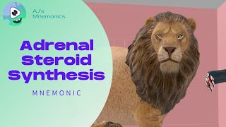 Adrenal Steroid Synthesis Pathway Mnemonic [upl. by Lindsey572]