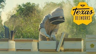 Texas Beeworks Brand Video Beekeeper [upl. by Aikan980]