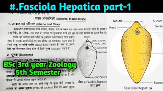 External and Internal morphology of Fasciola hepatica in hindi  BSc 3rd year Zoology 5th Semester [upl. by Lupien678]