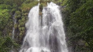 Amboli waterfalls  Kavleshet Point  Maharashtra  India [upl. by Nived]