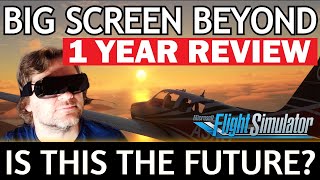 Bigscreen Beyond 1 YEAR Review  Worth BUYING in 2024 MICRO OLED 4K VR Headset  MSFS [upl. by Anuala]