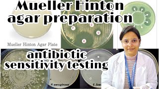 Mueller Hinton agar preparation what is the use in microbiology lab muellarhintonagarmueller [upl. by Aseiram]