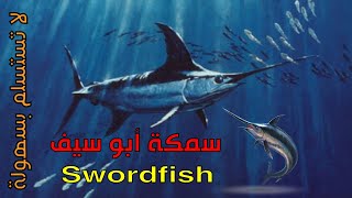 ابو سيف سمكة لا تملك أسنانا  Swordfish fish [upl. by Cherian]