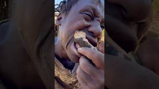 This baboon is so delicioushadzatribe foodnature documentary [upl. by Schroder]