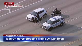 LIVE REPORT Dreadhead Cowboy rides horse on Dan Ryan Expressway [upl. by Sikram]