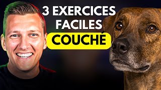 Apprendre Le COUCHÉ à Son CHIEN ou CHIOT Rapidement [upl. by Hertzfeld130]