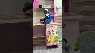 WOW  CUTIS is a real tycooncutis monkey shortvideo [upl. by Aihn]