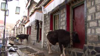 Gyantse Tibet [upl. by Varhol74]