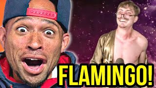 IM A FLAMINGO LIVE Marc Rebillet REACTION [upl. by Ynnob]