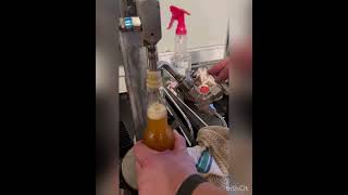 Homemade counter pressure bottle filler Works fairly wellhomebrew homebrewing spikebrewing [upl. by Ydor]