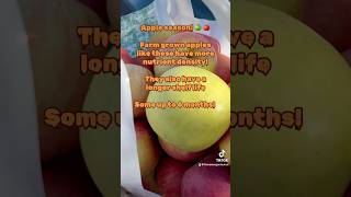 🍏 Apple Season Raw Vegan 🍎 rawfooddiet plantbased vegan antiinflammatorydiet applebenefits [upl. by Ahsemak]