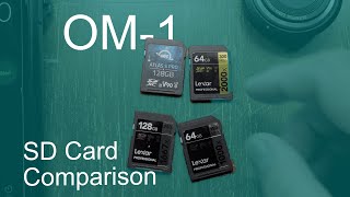 OM Systems OM1  V90 and V60 SD Card Test [upl. by Mordecai]