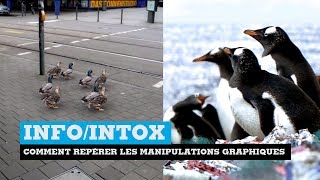 INFOINTOX 5  Comment repérer les manipulations graphiques [upl. by Aiderfla]