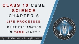 CLASS 10 CBSE SCIENCE CHAPTER 6 LIFE PROCESSES BRIEF EXPLANATION IN TAMIL  PART 1 [upl. by Uzia]