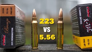 223 vs 556  Whats the Difference [upl. by Bille]