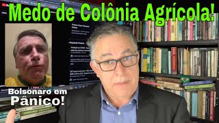 OLHA O NABO BOLSONARO NOVO PAVOR COLÔNIA PENAL AGRICOLA DIREITA AVANÇO E PÂNICO AVISEM LULA JÁ [upl. by Otrebor]