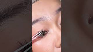 Try On Mlen Diary Star Individual Lashes fakelashes [upl. by Baalbeer]