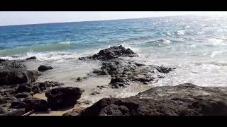 Fuerteventura  Klippen bei Ebbe Privatvideo [upl. by Trebeh]