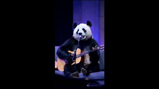 Maybe pandas have something on their mind too Meng Chongs debut plan Fantastic Animals Trembli [upl. by Harifaz]