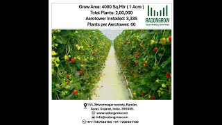 Vertical Aeroponic Farming in one acre  4000 SqMtr  Project Data [upl. by Orodoet821]