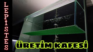 LEPİSTES ÜRETİM KAFESİ  Kayıpsız Yavru Alma Sistemi DIY [upl. by Nytsirc]