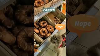 Dogs Reaction To Dog amp Cat Food😻🐶 [upl. by Niehaus]