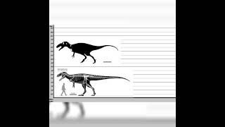 Epanterias Amplexus And Siats Meekerorum Size Comparisons [upl. by Halonna353]