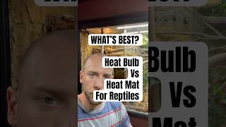 Reptile HEAT BULB VS HEAT MAT Simple explanation [upl. by Nilreb]