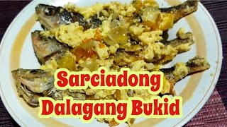 Sarciadong Dalagang Bukid [upl. by Otrebcire986]