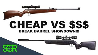 Cheap VS Expensive Break Barrel  Whats your  Get You  SIG ASP20 VS Beeman RS2 [upl. by Baillieu807]