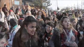 Siesta Dancers beim Pferdemarktumzug 2017 [upl. by Charline]