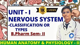 Nervous System Classification BPharm 2nd Sem HAP2 pharmacywala carewellpharma KclTutorials [upl. by Delmer]