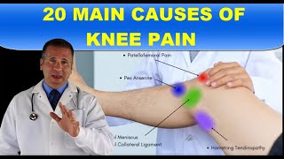 20 MAIN CAUSES OF KNEE PAIN [upl. by Aneema115]