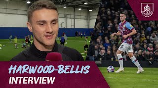 HarwoodBellis Talks Middlesbrough amp BFCitC Holiday Camps Visit  INTERVIEW [upl. by Ecnerwal]