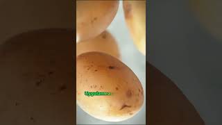 Bağırsak Temizleyen Patates Kürü Nasıl Yapılır ❓🥔👍 ibrahimsaraçoğlu faydatv patates [upl. by Tracay]